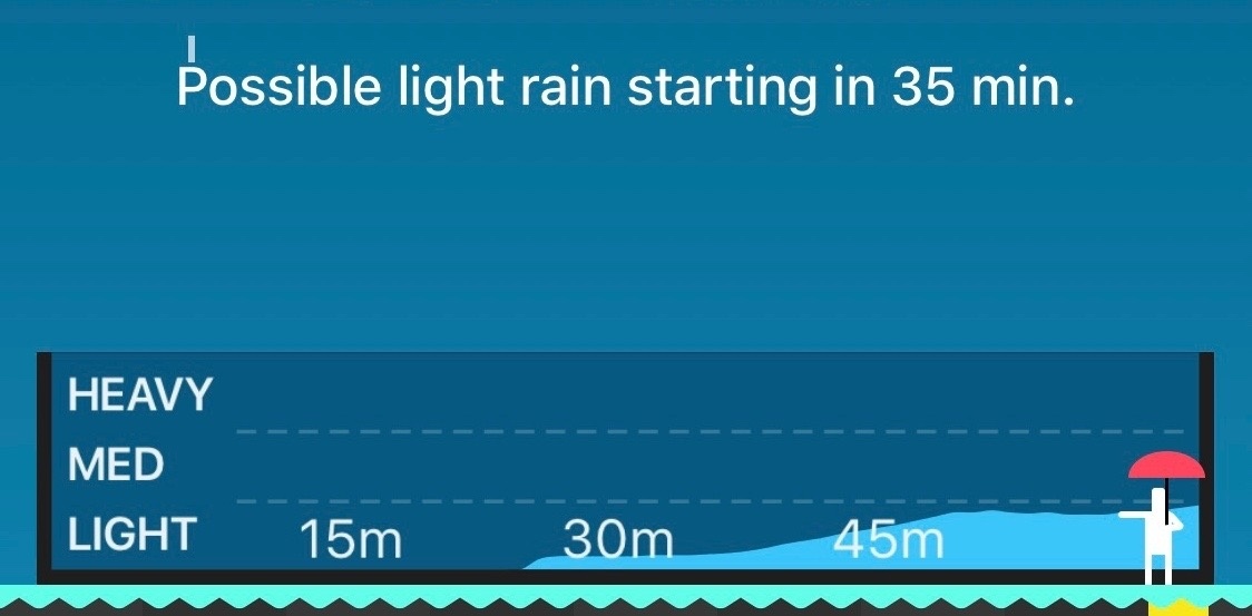 carrot weather review