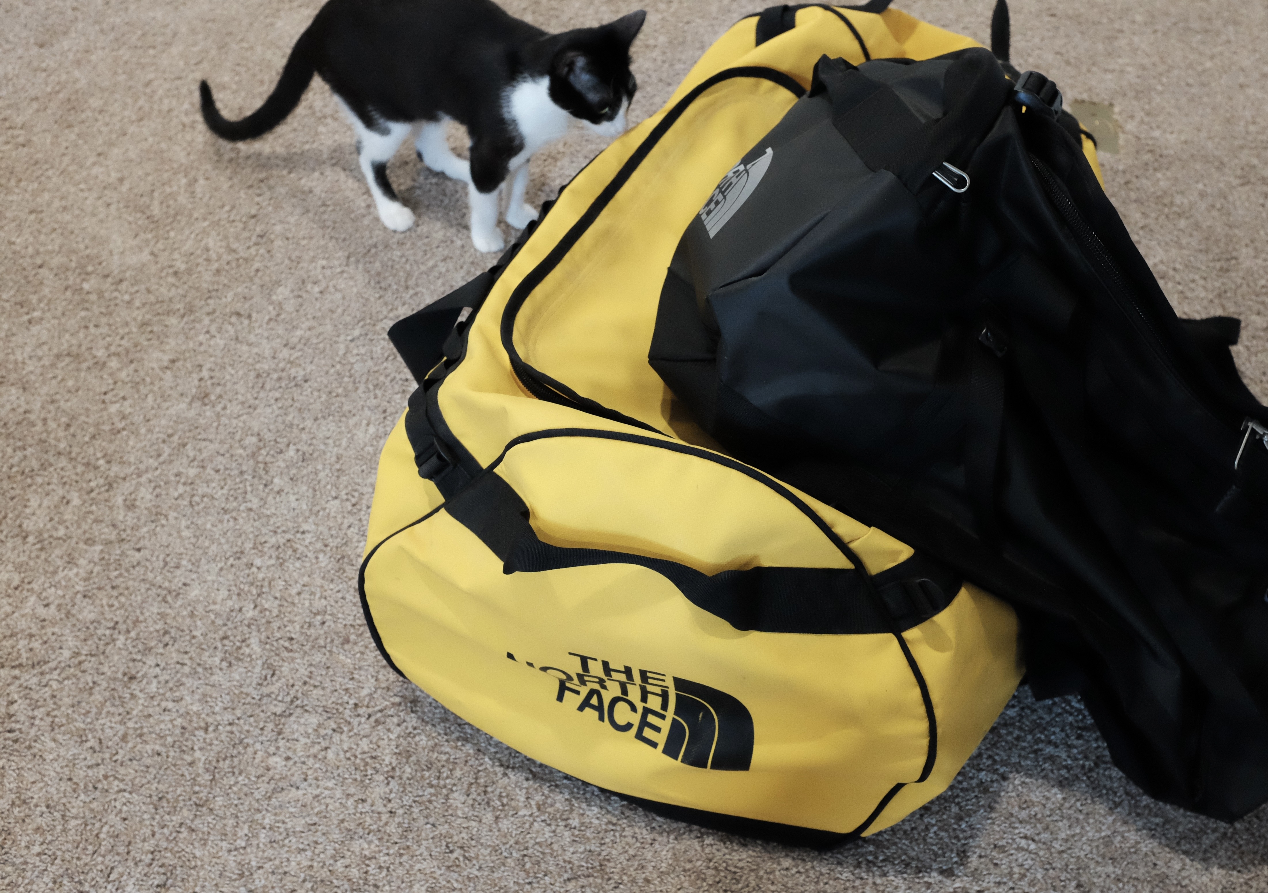 Review North Face Base Camp duffel bag