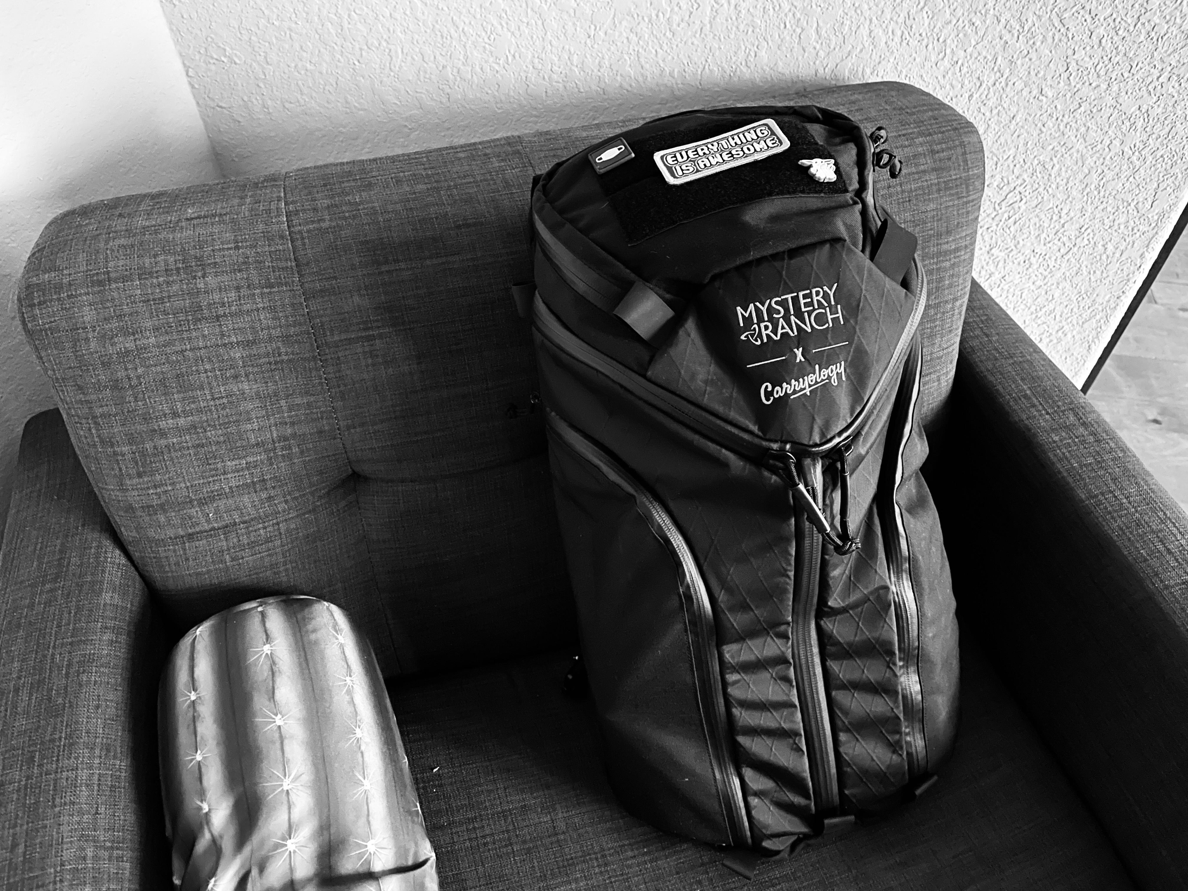 Carryology backpack outlet